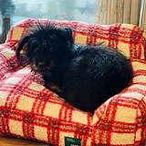 ɽķ����ɳ����ֵ����