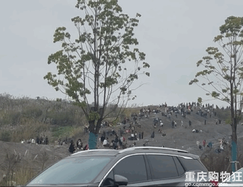 ���빫԰�ڻ�ʯ�ѷ���