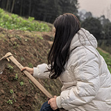 80������ŷ����ֵ�