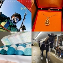 �޷����ѽ����İ���