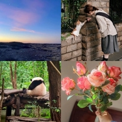 ɹɹ�����е�С����