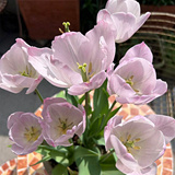 �쿪л�����������