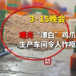 3��15�ع�Ư�׼�צ