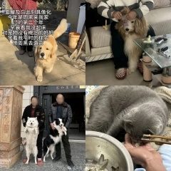 �����Գ����˫���ֳ�