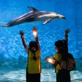 ���پ�ȥ�����ҹ��