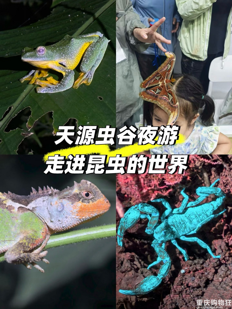 �ȹ侰�c�����x�����Θ������������һȥ���p��{��ȓ�������Ȼ