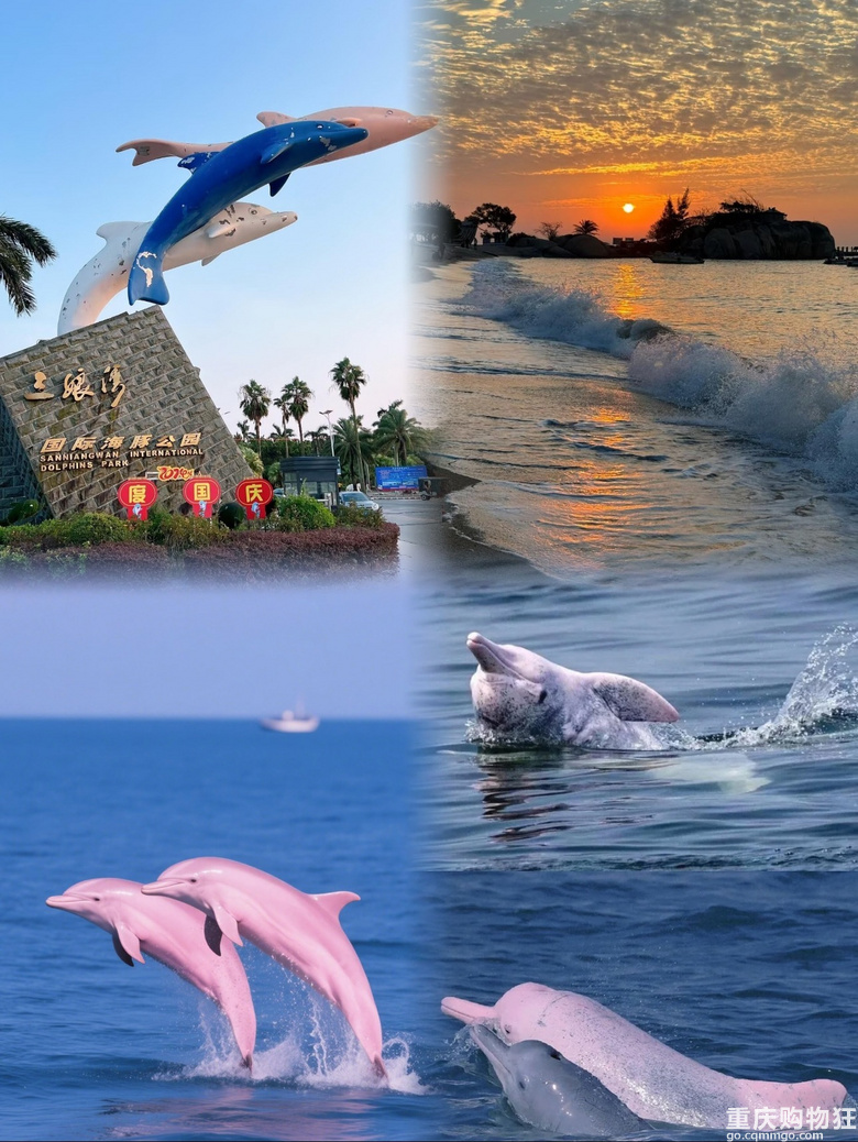 �V������8��С���F���˾�3ǧ+�p�����ٲ���׷����ۺ���
