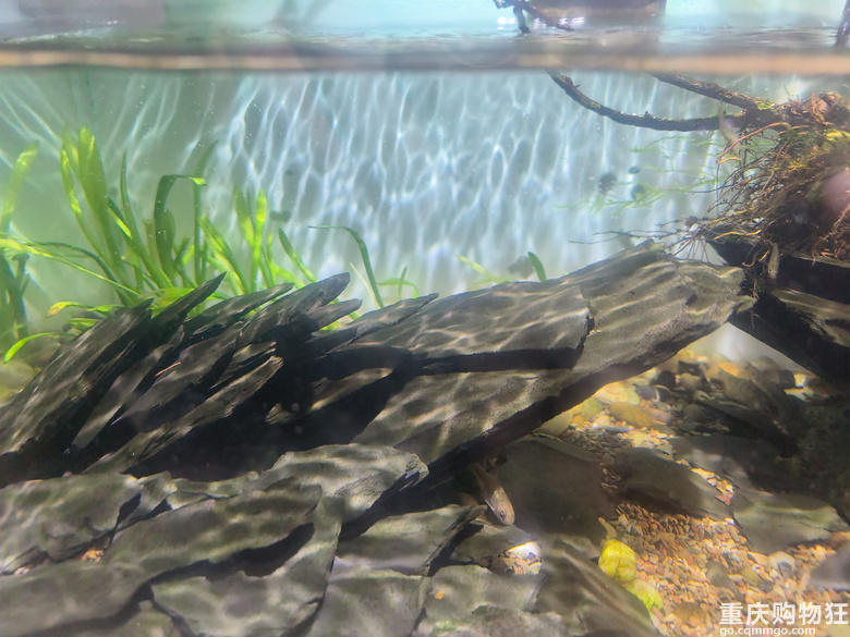 ����һ���ҵ��Լ��쾰