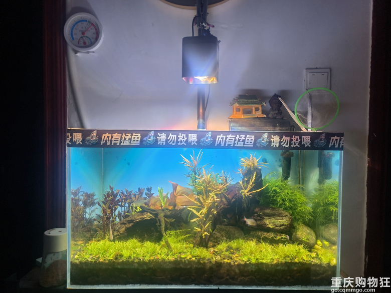 ����һ���ҵ��Լ��쾰