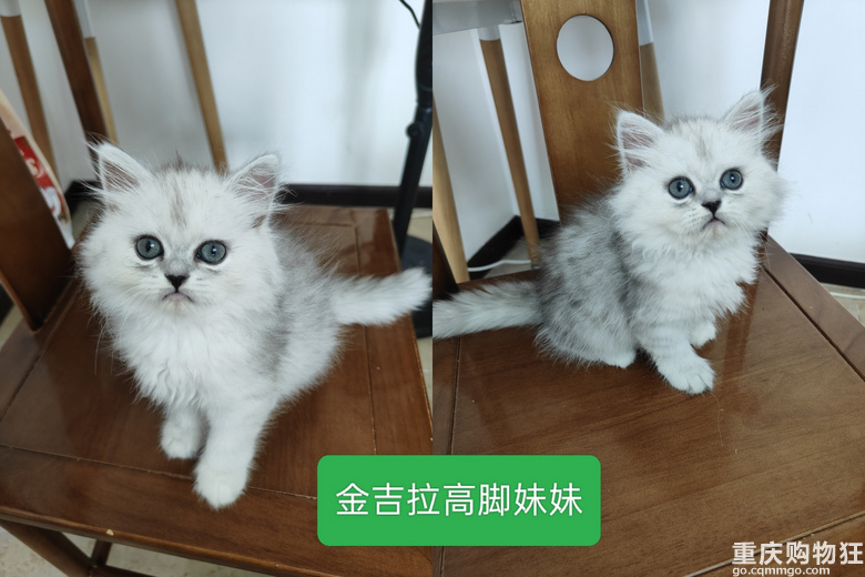 С؈С���I�B
