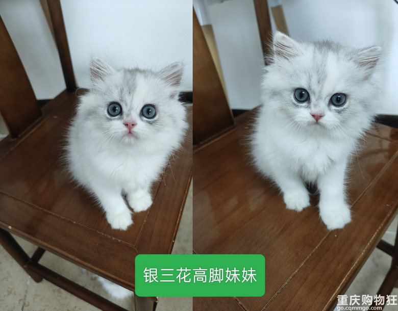 С؈С���I�B