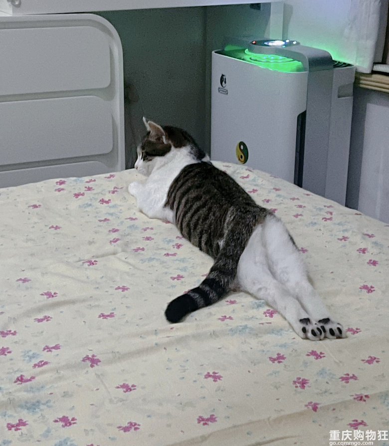 �@˯��