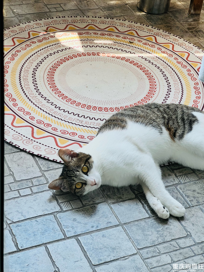 ���죬С؈�������ᣬ��Ը�ⴵ���{