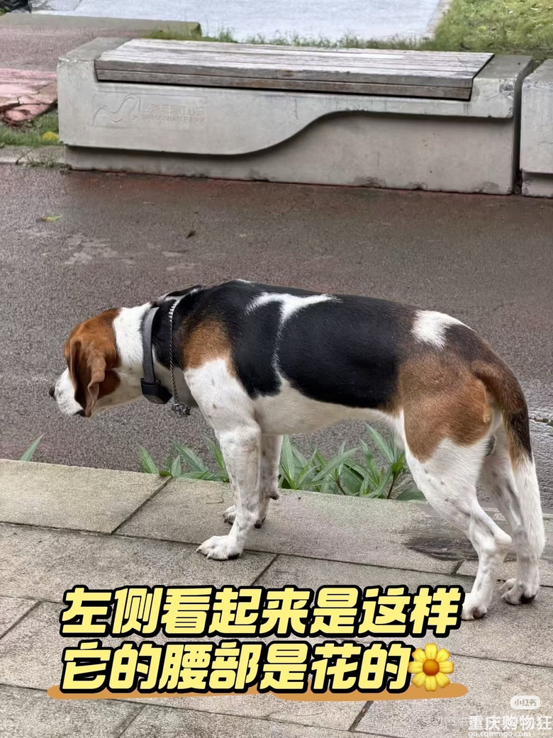 ������ʾ���ɽ��^(q��)�Y�ζɡ��ȸ�Ȯ�ڸ�~