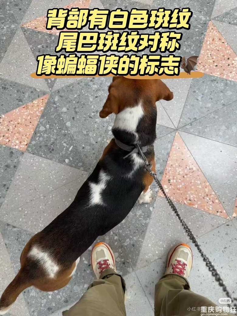 ������ʾ���ɽ��^(q��)�Y�ζɡ��ȸ�Ȯ�ڸ�~