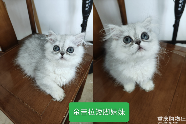 С�����BС؈