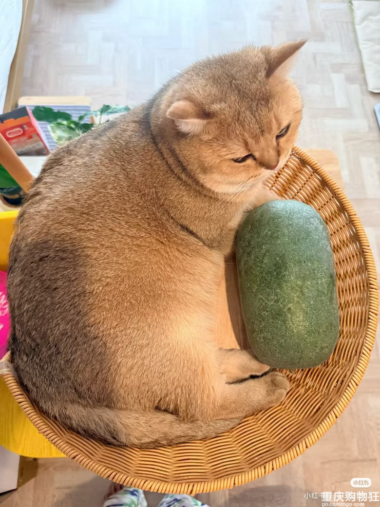�ж���؈؈�����R���Ͻo�_�ˣ�