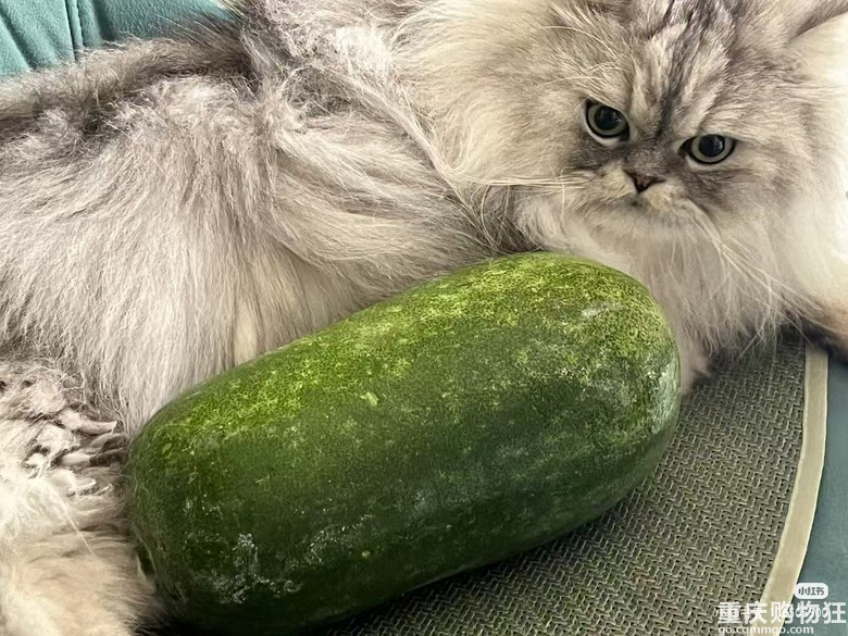 �ж���؈؈�����R���Ͻo�_�ˣ�