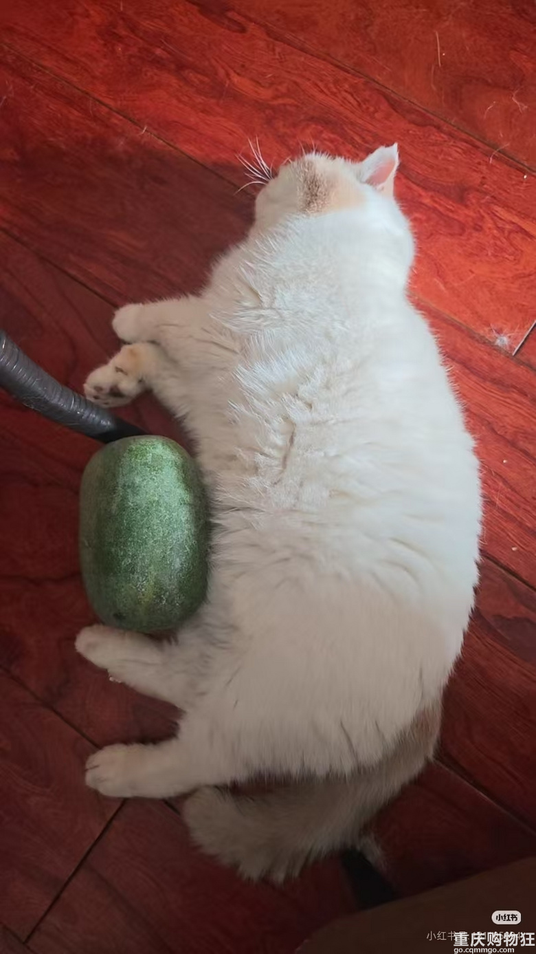 �ж���؈؈�����R���Ͻo�_�ˣ�