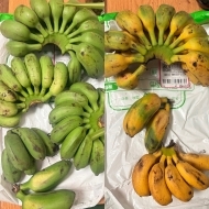 �����ˣ������������ˣ�