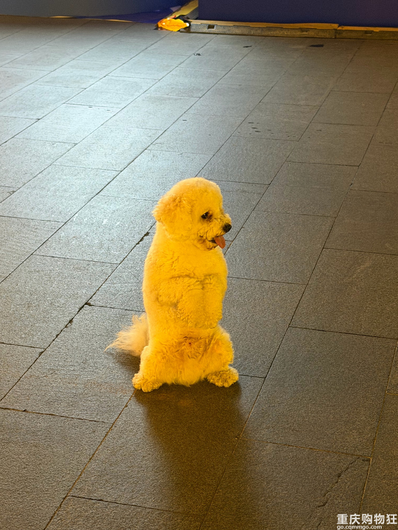 �PվС��