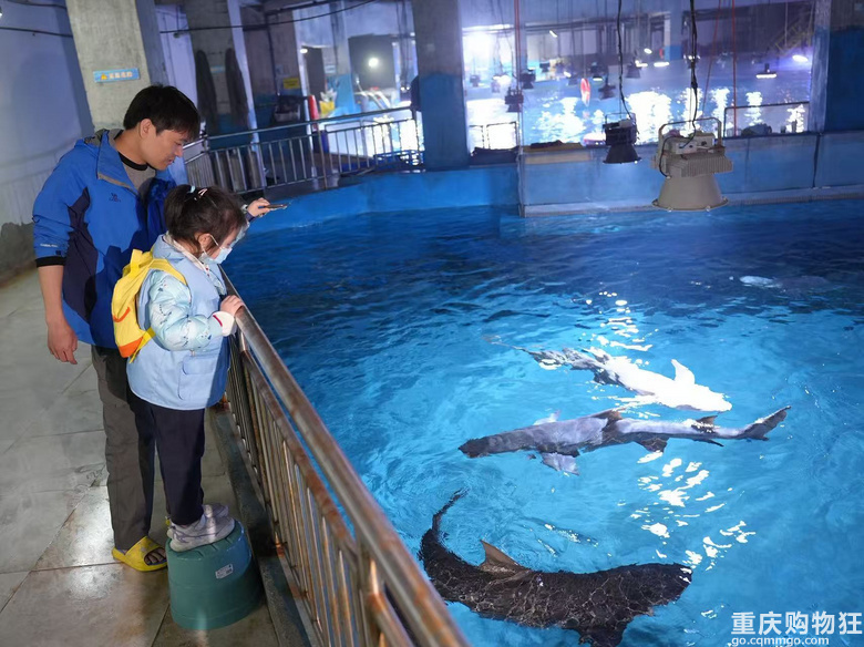 ���ҹ�޺����^�������L����ˮ���磬�����xͶι���~������