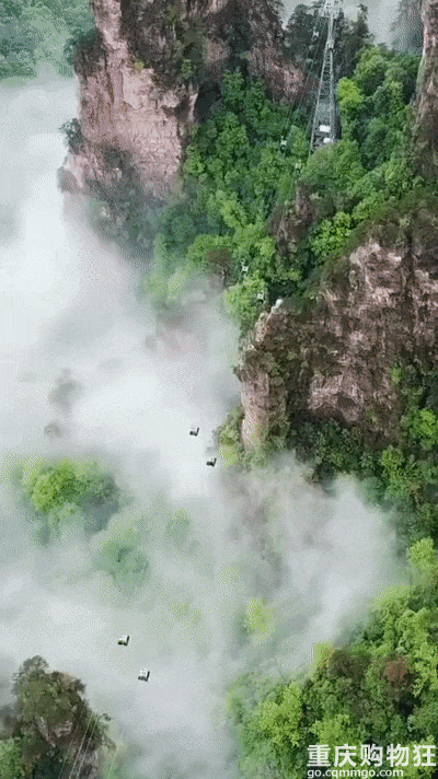 ̽����һ�޶����żҽ�