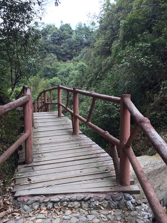 黄山黟县打鼓岭