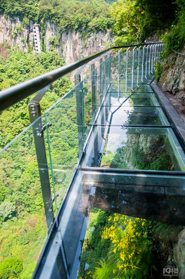 看一眼就心惊肉跳这些令人腿软的高空栈道够硬核的人才敢去
