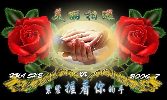 2009情人节单身男女对对碰