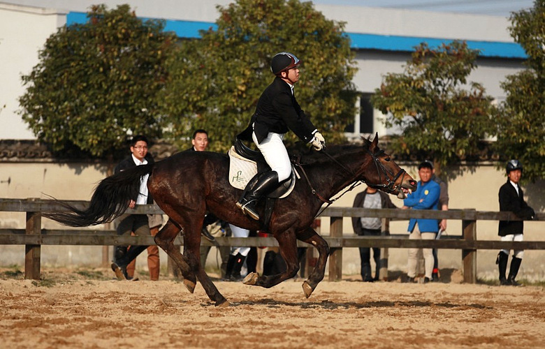 xuxu,第五届松声杯马术赛,1米障碍-马术俱乐部-杭州19楼