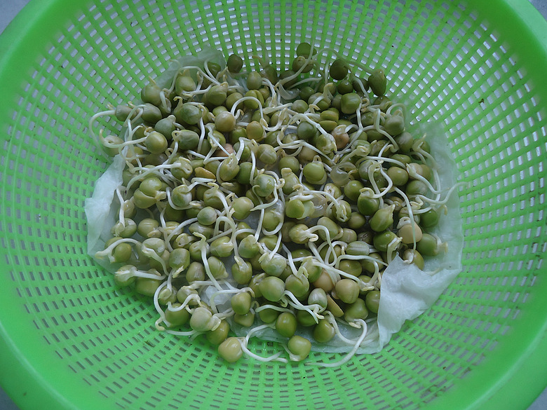 那些菜们,水发豌豆苗