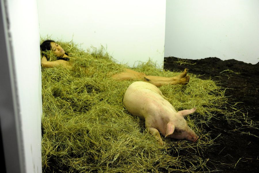 美国女行为艺术家与猪裸睡(图)