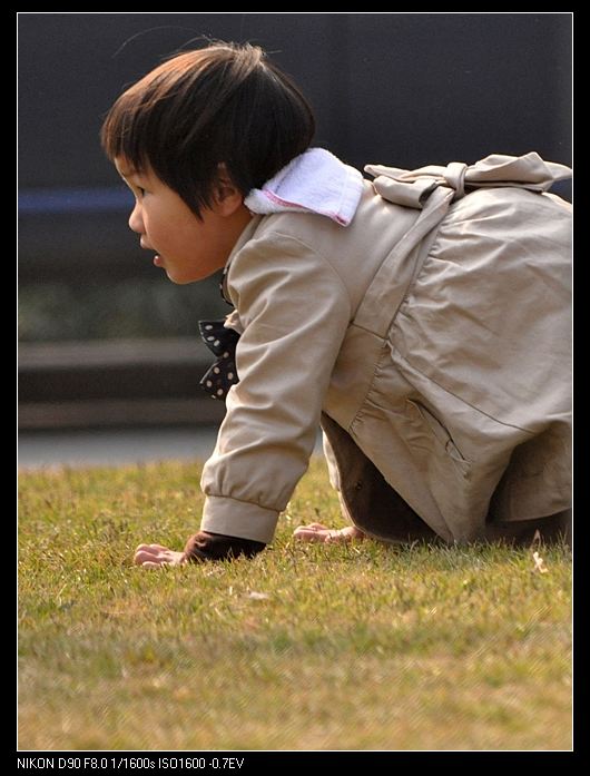 【原创】幼儿爬行比赛