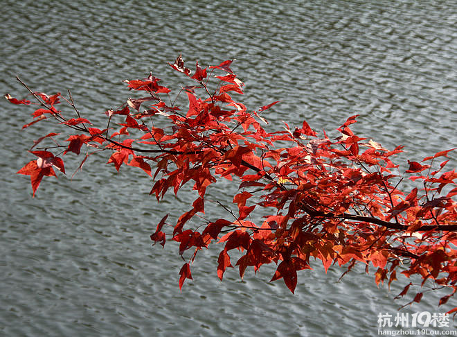 国庆长假 激情体验 5日广西乐业天坑洞穴大探