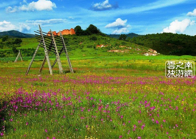 云之南香格里拉:伊拉草原