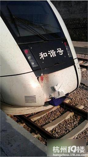 惊人!动车又撞人了 造成一男子身亡(图)-讨论-拉