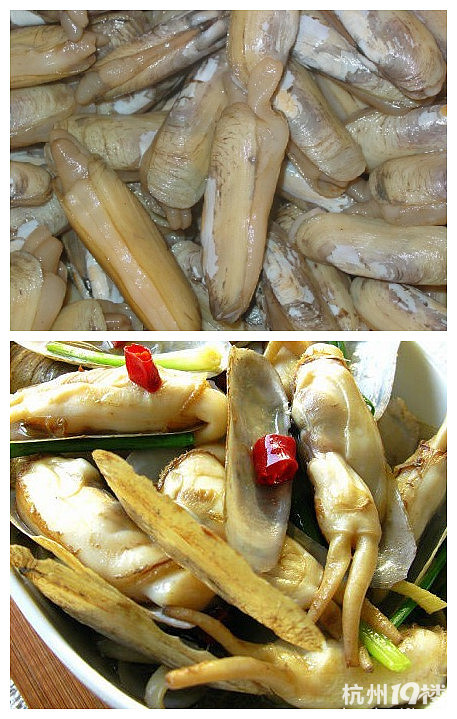 食用油做辣炒蛏子 &nbsp; &nbsp; &nbsp; 烹制象拔蚌热菜宜旺火速成