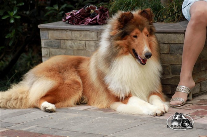 美系蓝陨石苏牧mm找帅哥老公.