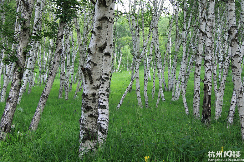 北京卫视热播电视剧《光荣大地》拍摄地—乌兰布统草原喇嘛山后沟