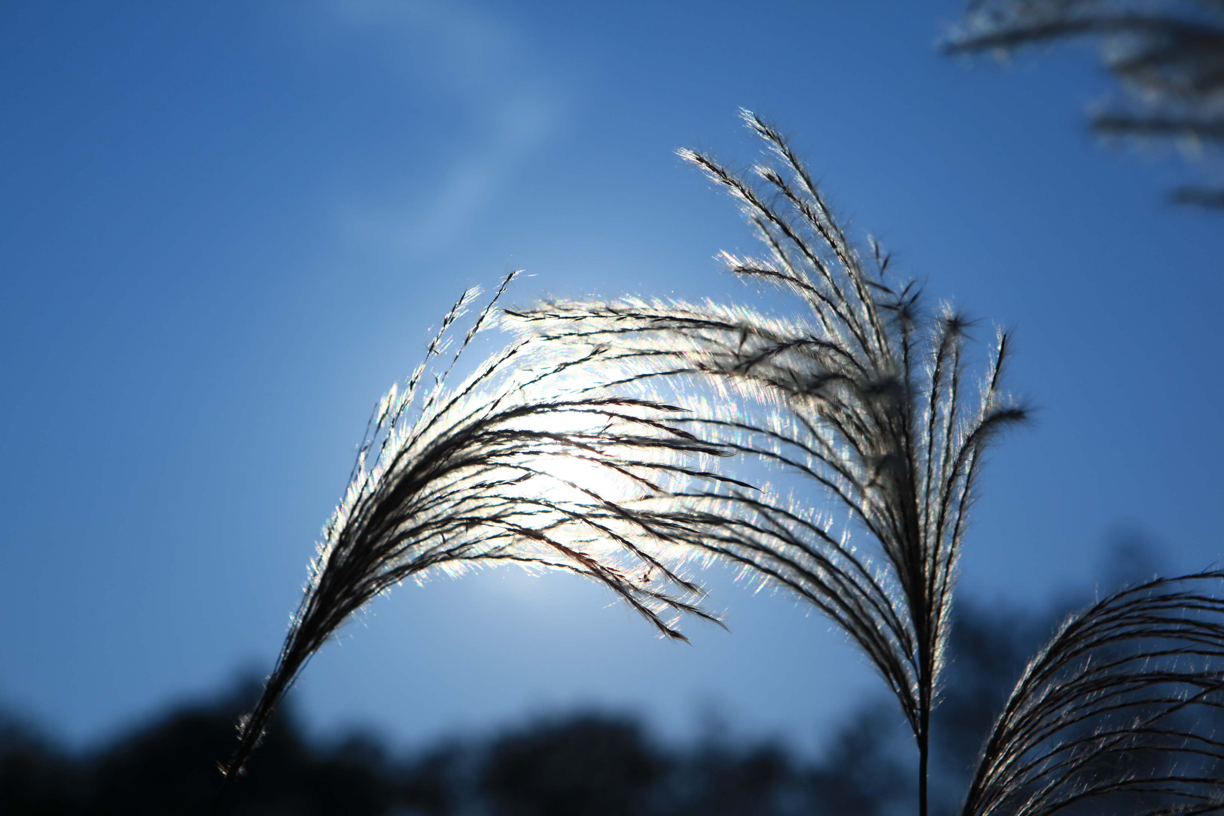 苕溪小景-风景照-19摄区-杭州19楼