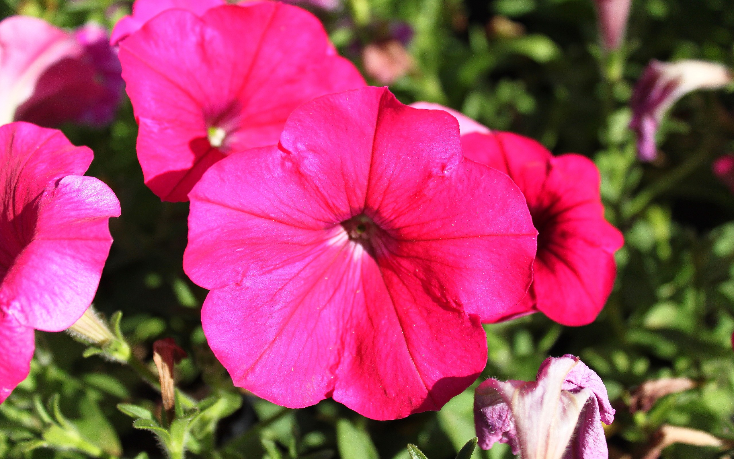 第一次单反拍的照片