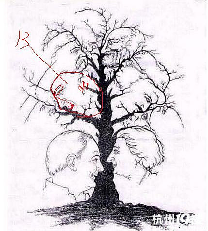 【看图测智商】12张人头以上的绝对是聪明绝