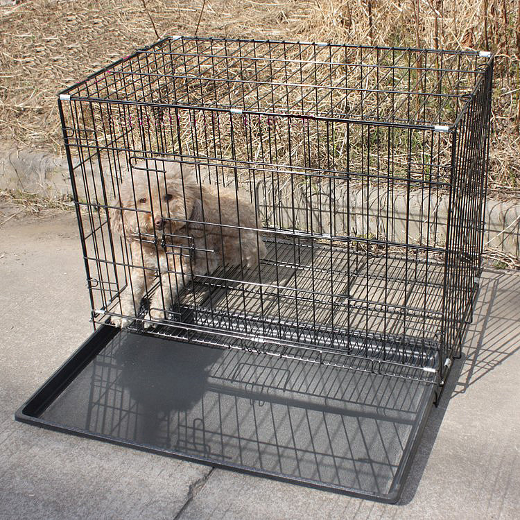 狗狗铁笼子便宜转让