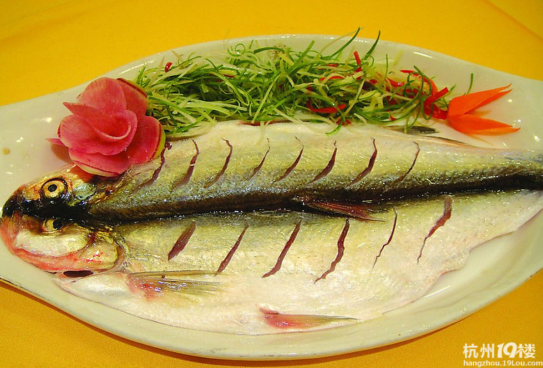 【行走乌镇】 组图-旅游先遣队-杭州19楼