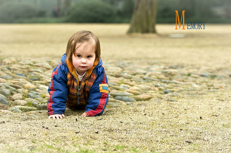 孤山下的回忆---外国小友记