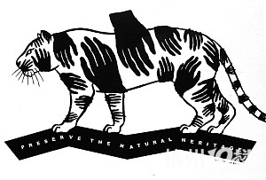 浙大自主招生主考官详解今年看图答题明年可