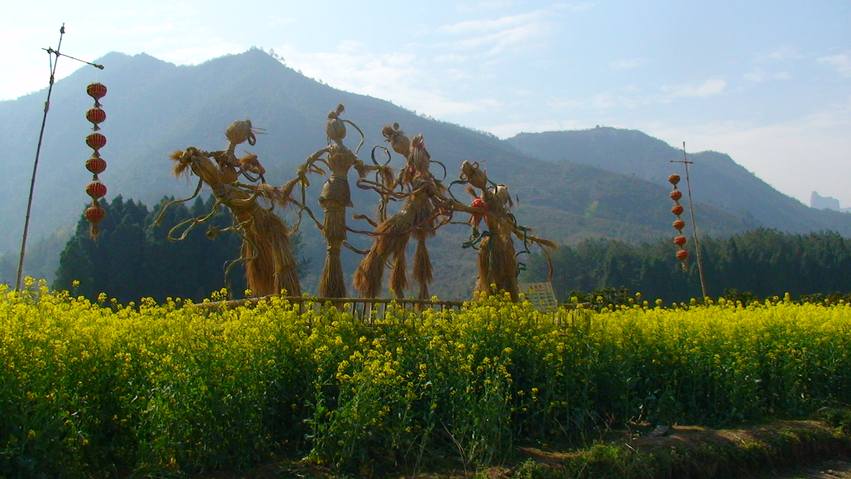 油菜花稻草人,美不胜收