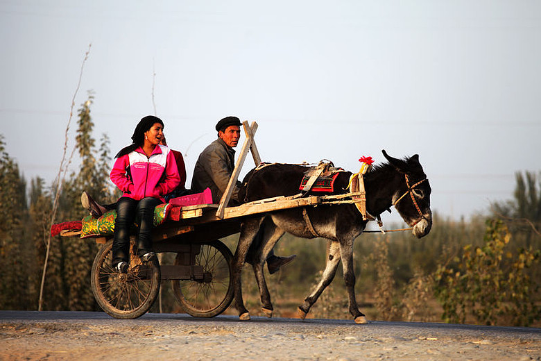 南疆的毛驢車.