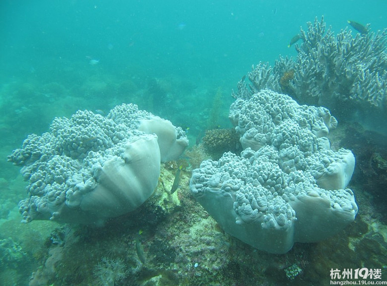 这一路走来的风景!纪念那些过去!-第4页-游记攻